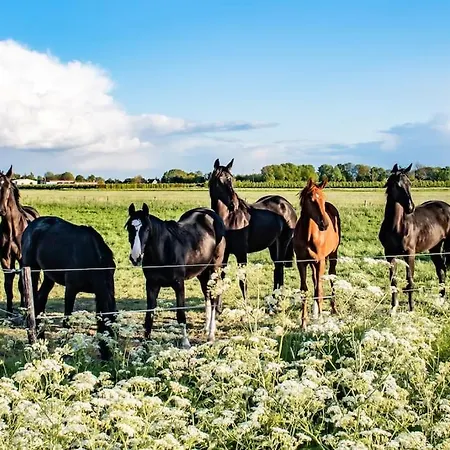 Doremaele Luxury Lägenhet