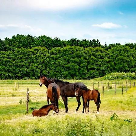 Doremaele Luxury Apartamento *