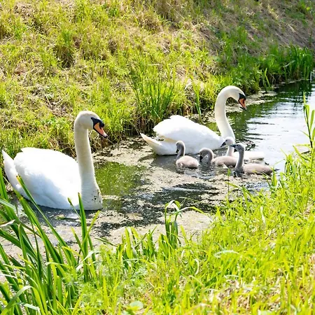 Doremaele Luxury Apartamento