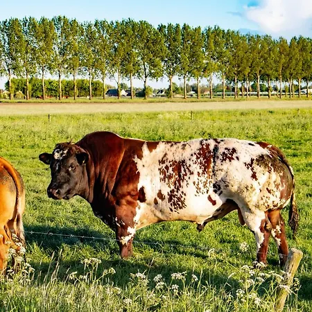 Doremaele Luxury Apartamento