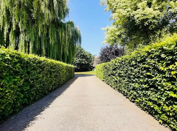 Doremaele Luxury شقة *