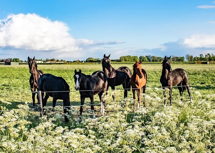 Doremaele Luxury Apartamento