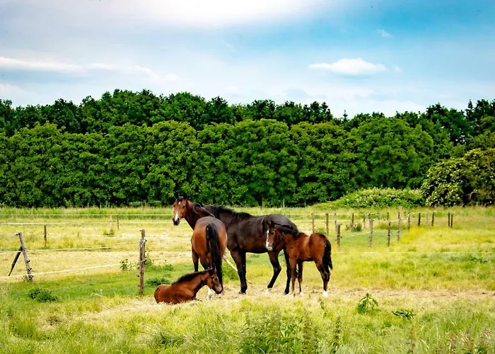 Doremaele Luxury Apartamento *