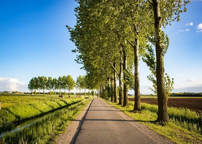 Doremaele Luxury شقة