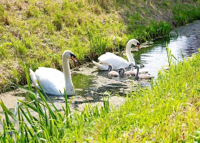 Doremaele Luxury شقة