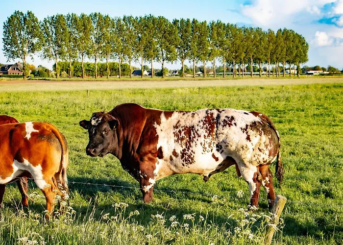 Doremaele Luxury شقة