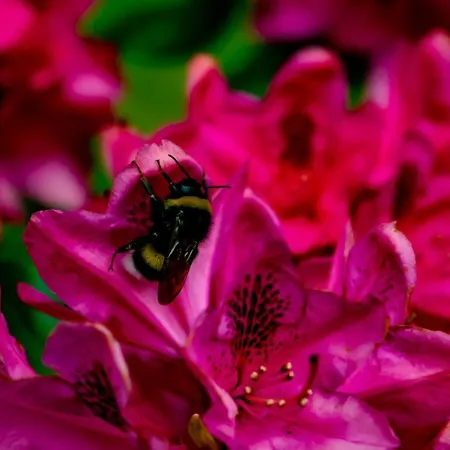 Doremaele Luxury 아파트 *