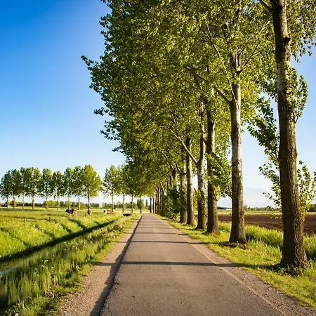 Doremaele Luxury 아파트