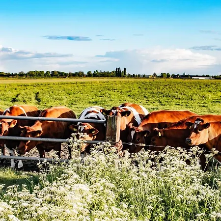 아파트 Doremaele Luxury *