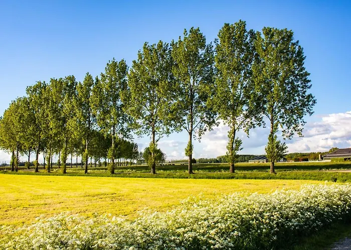 Apartament Doremaele Luxury *